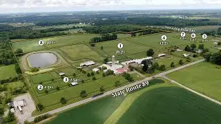Absolute Ashland County Mapleton Thoroughbred Farm Auction