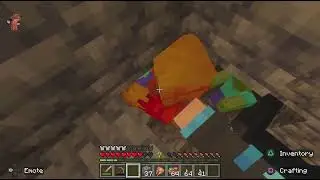 Minecraft Survivor Survival World! 9