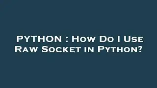 PYTHON : How Do I Use Raw Socket in Python?