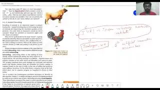 Animal husbandry day 2