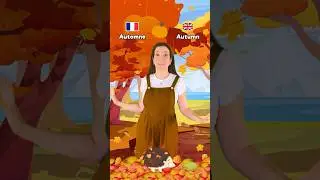 Les 4 saisons, the four seasons 🍂🍄 #english #french #learning