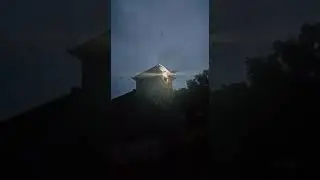 viral respon Sp 50 juta saat walet pulang kandang mampu menahan walet melintas