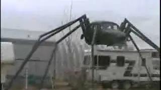 VW Spider