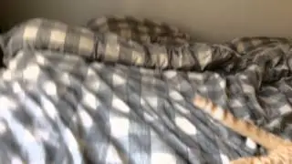 Foot mouse