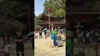 Cute Japanese Monkey | Animal planet