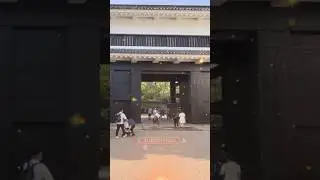 What You See When You Enter Osaka Castle 🏯✨| Osaka Castle Entry Experience 🏯 | Osaka Castle ✨