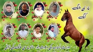 Charsi Malang New Try || Tanga Race || #shughalmela #horse #race #tangarace
