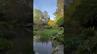 Christchurch Botanic Garden, New Zealand #shorts #trending #vlog #viral #travelvlog #garden #travel