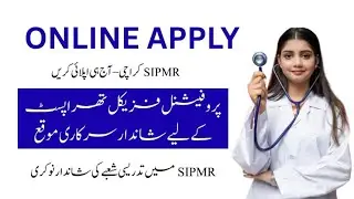 Assistant Professor Physical Therapy Jobs SIPMR Karachi 2025 BPS 19