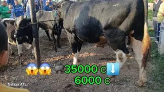 МОЛБОЗОРИ ФАРМОНКУРГОН НАРХО АРЗОНШУД 😱+992 02 996 34 34 ☎️🐏🐃🐂
