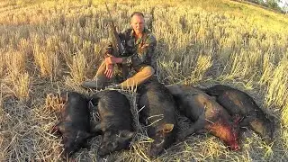 Stu n Alex's excellent pig hunting adventure; Part II.