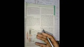 Golgi Tendon Reflex Complete concept in easy way||Functions of golgi Tendon Reflex