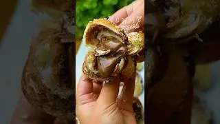 Cornuri bicolore, insiropate si pufoase❤️