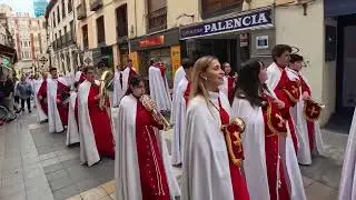 Domingo de Ramos por la mañana en Palencia