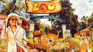Bondla wildlife Sanctuary Goa (zoo) 