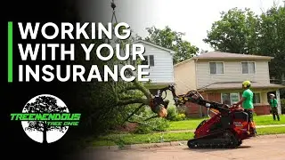 How Treemendous Handles Emergency Tree Work and Insurance Claims