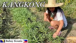 Kako kuham zijski &scaron;pinat | How I cook Kangkong or water spinach