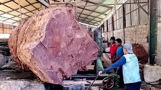 Это роскошное красное дерево стоит 1 миллиард, о котором I Sawmill не может договориться.