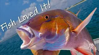 Catching Fish On A Reef Using Native Salt Baits