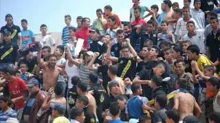 ultras Giallo nero