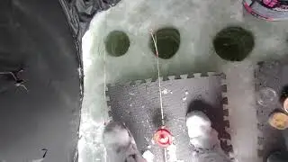 ice fishing in a turkey blind