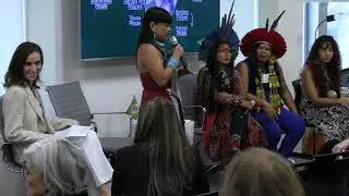 Indigenous Brazilian Women: Creative Economy and Sustainable Entrepreneurship