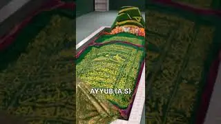 graves of all prophets of islam ❤️💝🕌🕋#allah #halal #allahquotes #kabaah #prophetsofislam