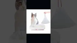Easy-to-Use Cat Litter Bags