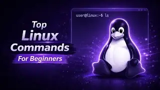 Top Linux Commands for Beginners | Complete Linux Basics Tutorial