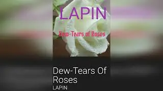 Dew Tears of Roses