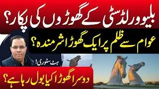 Voices from Blue World City?One &ldquo;Horse&rdquo; Ashamed, Another Speaks Out! | Hit Story #blueworldcity