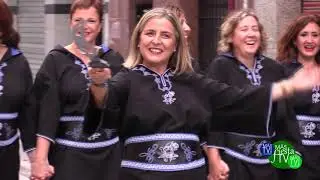 MIG ANY Desfile Villafranqueza-El Palamó