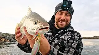 MULLOWAY FISHING River to Ranch Firepit &ndash; FLATHEAD Catch & Cook! MID NORTH COAST