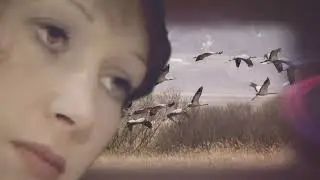 Алла Пугачёва  -  До свидания, лето!