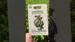 Disney&rsquo;s Animal Kingdom 25th Anniversary Pins! #disneypins #disneypintrading #waltdisneyworld