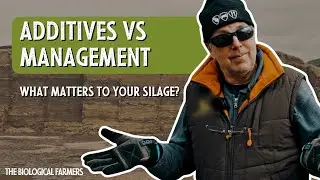 Additives VS Management: What matters to your silage?