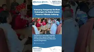 Ketum PSI Kaesang Pangarep Berikan Dukungan ke Balon Peserta Pilkada se Sulteng