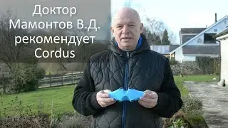 Ведущий ортопед СПб Мамонтов В.Д. о терапии позвоночника методом Cordus -лечение грыжи, боли в спине