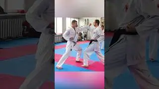 Self-defense #karate #piatsko #sensei #martialarts #zuki #kumite #seminarpiatsko #budo