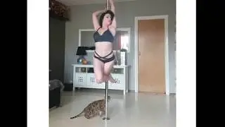 Bad Kitty USA   This Bad Kitty wants to #PoleDance! Big thanks to    2