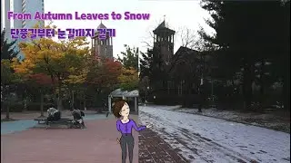 [EN/KR CC] Walking through Autumn Leaves and Snowflakes in Paris Park, Seoul, South Korea