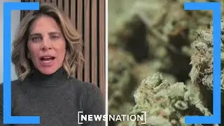Marijuana should be used only under medical supervision: Jillian Michaels | On Balance