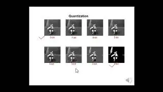 DIP | Sampling & Quantization