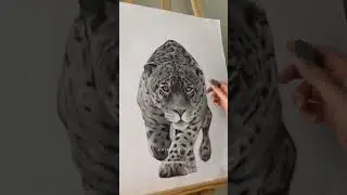 Jaguar drawing #shorts