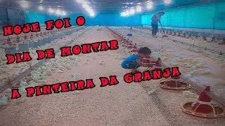 Montagem pinteira- Aviário-Granja