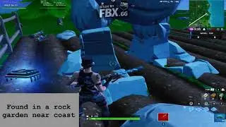 Fortnite Fortbyte#83 Found in a rock garden near coast