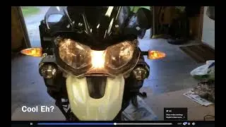 Todd's Tiger indicator video