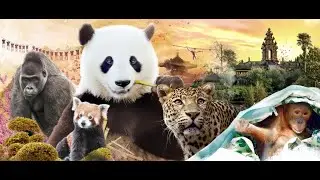 Pairi Daiza 2022 - Alleen in het park