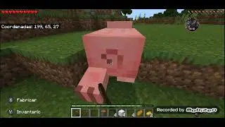 minecracft survival
