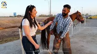 ئالاء دەچێتە فێرگەکەی حەسار بۆ فێربونی ئەسپسواری